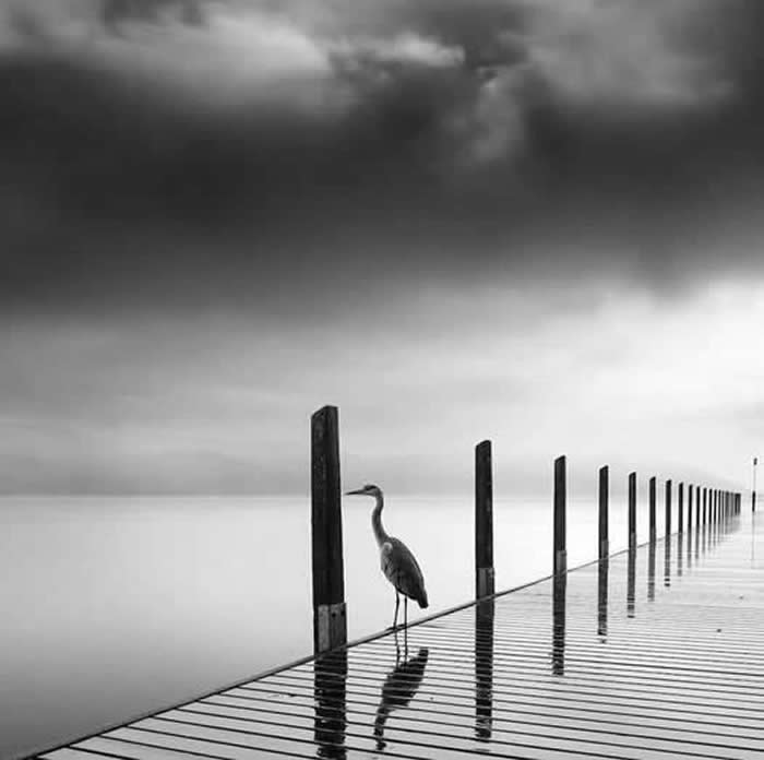 Timeless Black and White Photos Masters of Photography