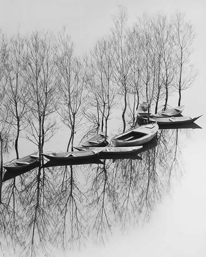 Timeless Black and White Photos Masters of Photography