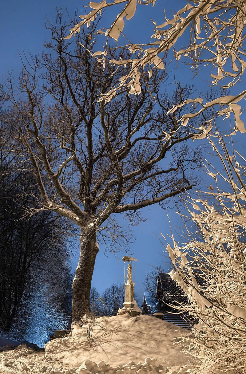 Beautiful Winter Photos in Southern Poland by Michal Skarbinski
</p>
        </div>

        <footer>
            <!-- post pagination -->            <!-- review -->
            <div class=
