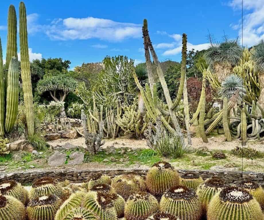 Fascinantni Benalmádena: Marine, planine i kultura - 4