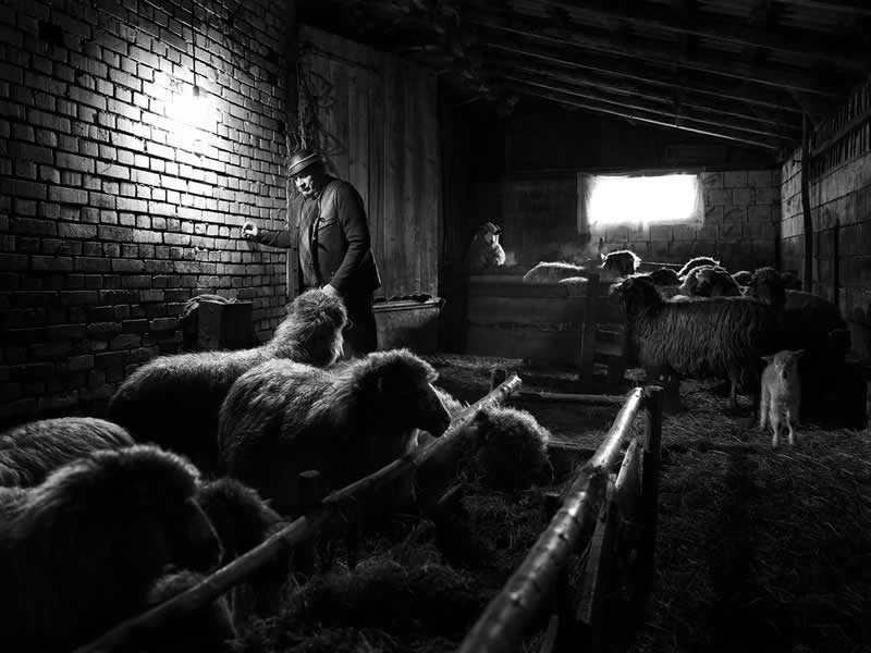 Gdje Zemlja Pamti: Oliverova Klinkova Dirljiva Slika Ruralnog Života i Sjećanja - 14 Gdje Zemlja Pamti: Oliverova Klinkova Dirljiva Slika Ruralnog Života i Sjećanja - 14