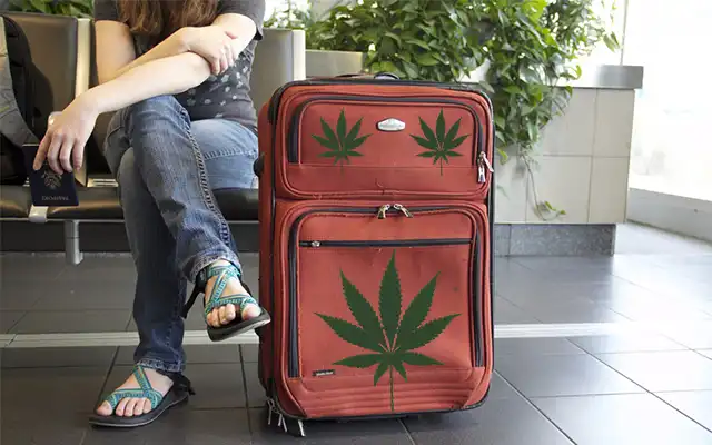 Putujte Bolje S Cannabisom: Avanturističke Osnove Od King Palma - 4 Putujte Bolje S Cannabisom: Avanturističke Osnove Od King Palma - 4
