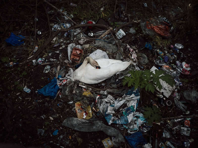 Sljedeća generacija fotografije: 20 pobjedničkih fotografija s AOP studentskih nagrada 2026. - 3 Sljedeća generacija fotografije: 20 pobjedničkih fotografija s AOP studentskih nagrada 2026. - 3