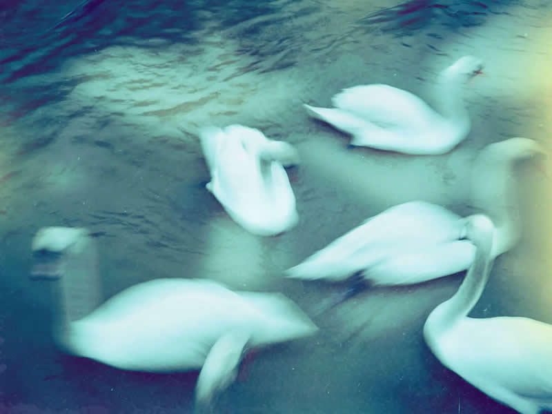 Sljedeća generacija fotografije: 20 pobjedničkih fotografija s AOP studentskih nagrada 2026. - 14 Sljedeća generacija fotografije: 20 pobjedničkih fotografija s AOP studentskih nagrada 2026. - 14