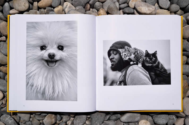 Ulična Safari: Zapanjujuća Nova Monografija Alana Schallera Slavi Životinje u Crno-Bijeloj Tehnici - 3 Ulična Safari: Zapanjujuća Nova Monografija Alana Schallera Slavi Životinje u Crno-Bijeloj Tehnici - 3