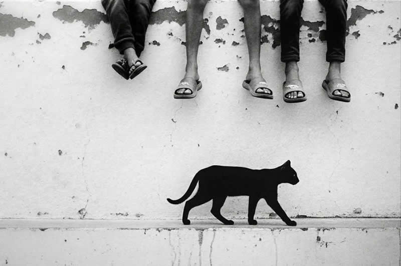 Umjetnost savršenog trenutka: 30 uličnih fotografija snimljenih u točno pravom trenutku - 8