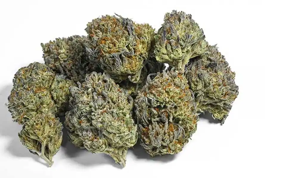Vintage Cannabis: Objašnjeno - 2 Vintage Cannabis: Objašnjeno - 2