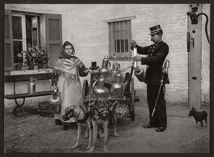 Vrijeme stoji mirno: 40 izvanrednih povijesnih fotografija s izvanrednim pričama 45 Belgijska mliječarka u tradicionalnoj odjeći koristeći pse za povlačenje automobila. (Bruxelles, 1890-e).