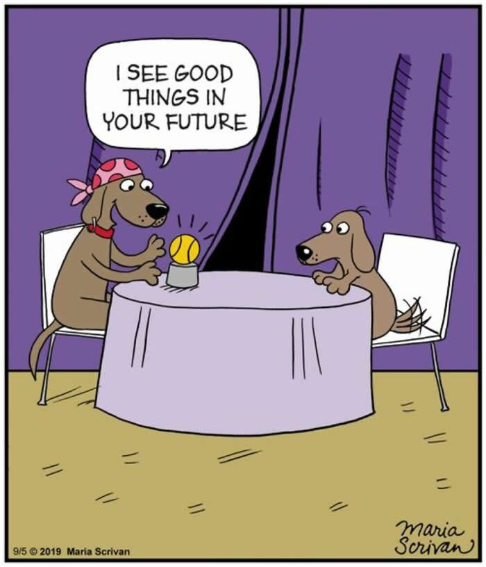 Life With Dogs: 35 Hilarious Comics by Maria Scrivan That Nail Everyday Pet Chaos 39 Hilarious Funny Dog Comics by Maria Scrivan