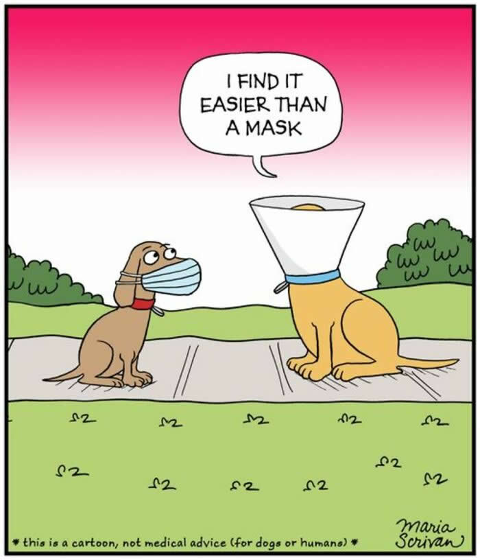 Life With Dogs: 35 Hilarious Comics by Maria Scrivan That Nail Everyday Pet Chaos 42 Hilarious Funny Dog Comics by Maria Scrivan