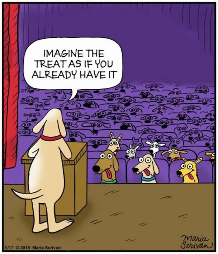 Life With Dogs: 35 Hilarious Comics by Maria Scrivan That Nail Everyday Pet Chaos 44 Hilarious Funny Dog Comics by Maria Scrivan