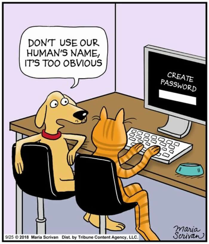 Life With Dogs: 35 Hilarious Comics by Maria Scrivan That Nail Everyday Pet Chaos 45 Hilarious Funny Dog Comics by Maria Scrivan