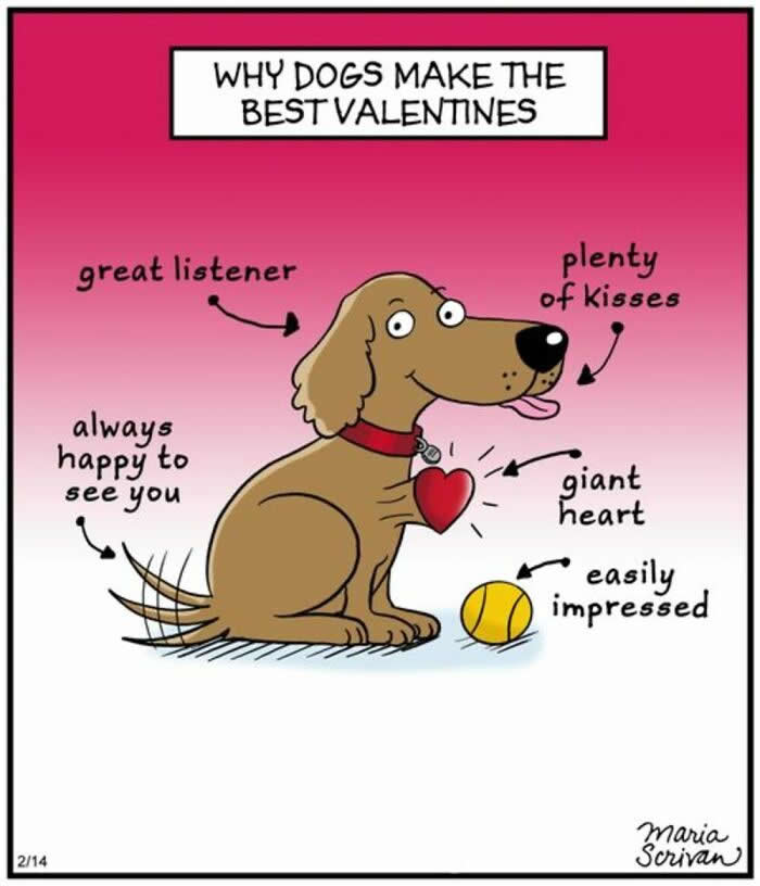 Life With Dogs: 35 Hilarious Comics by Maria Scrivan That Nail Everyday Pet Chaos 47 Hilarious Funny Dog Comics by Maria Scrivan