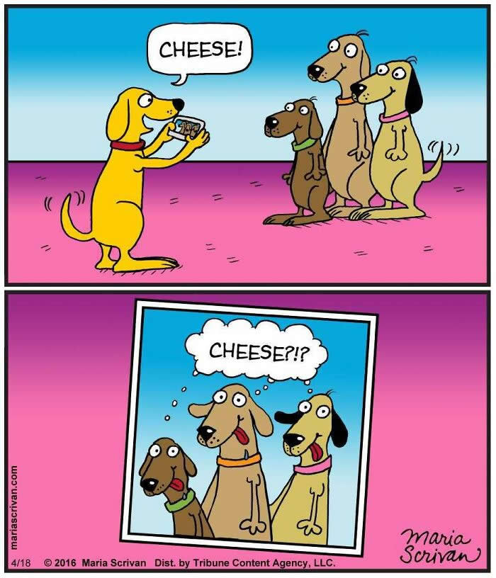 Life With Dogs: 35 Hilarious Comics by Maria Scrivan That Nail Everyday Pet Chaos 38 Hilarious Funny Dog Comics by Maria Scrivan