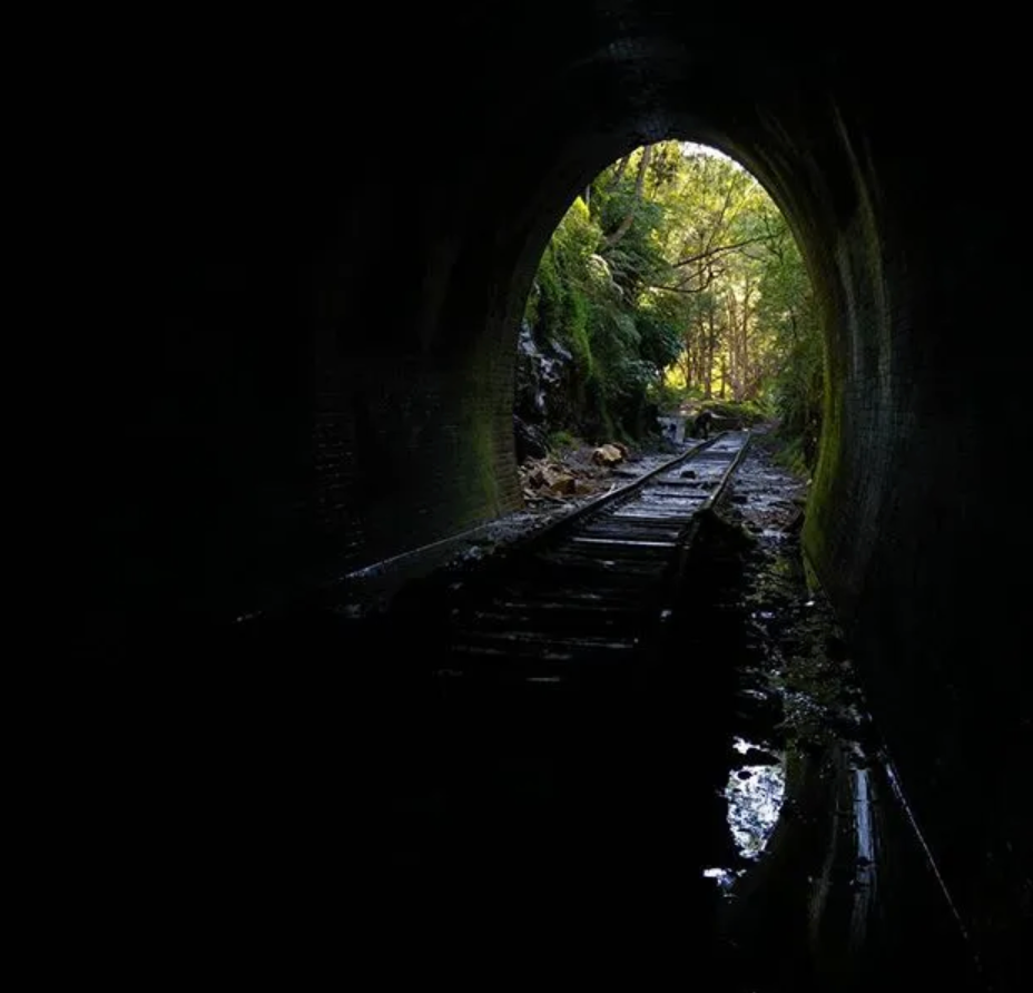 The tunnel is home to one of the largest glowworm colonies in all of New South Wales.