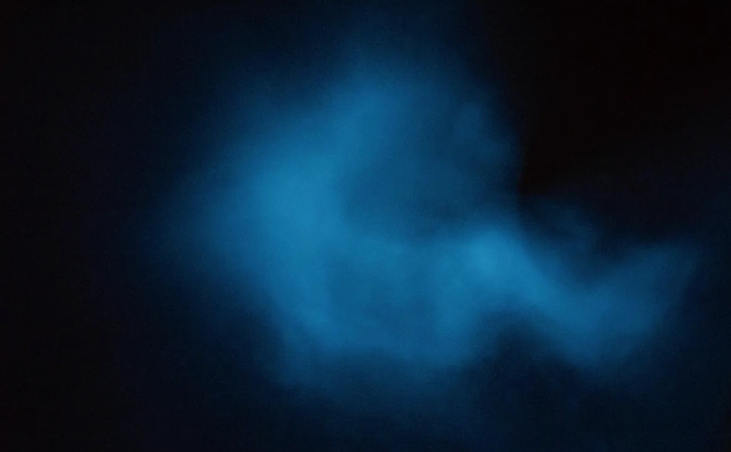 Following a circadian rhythm, the dinoflagellates' bioluminescence occurs only at night, allowing them to recharge during the day.