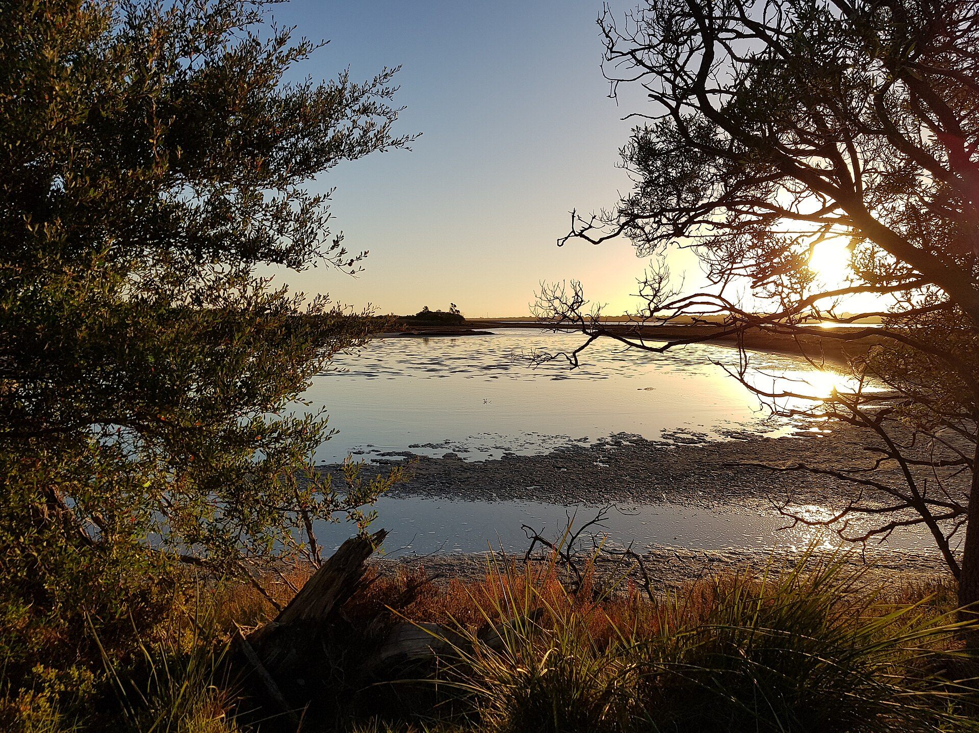 The Gippsland Lakes are a network of coastal lakes, marshes and lagoons in Victoria, Australia.