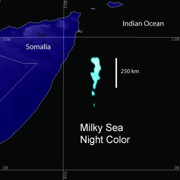 In the Somali language, it is called