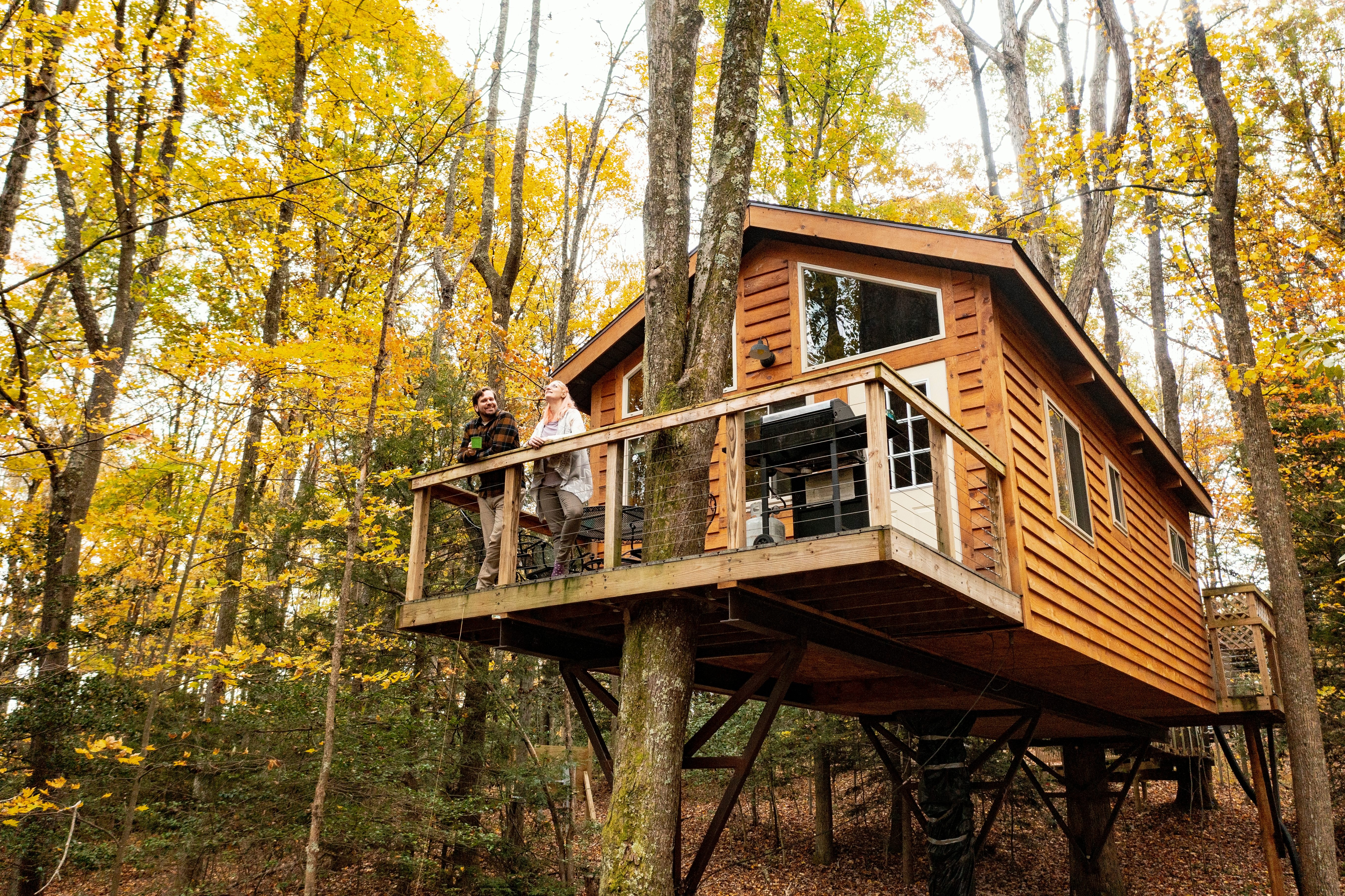 Rafting, hiking, and fishing are within easy reach at Country Road Cabins.