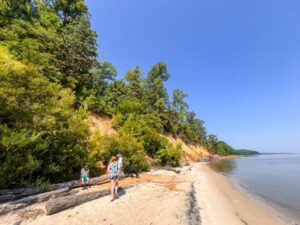 Fossil Beach u York River State Park u Williamsburgu, Virginia