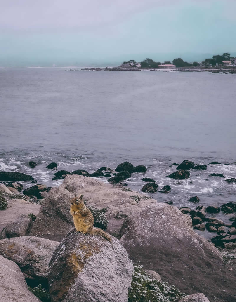 GuruShots pobjedničke fotografije iz njihovog foto izazova 'Mrtva priroda' - 41