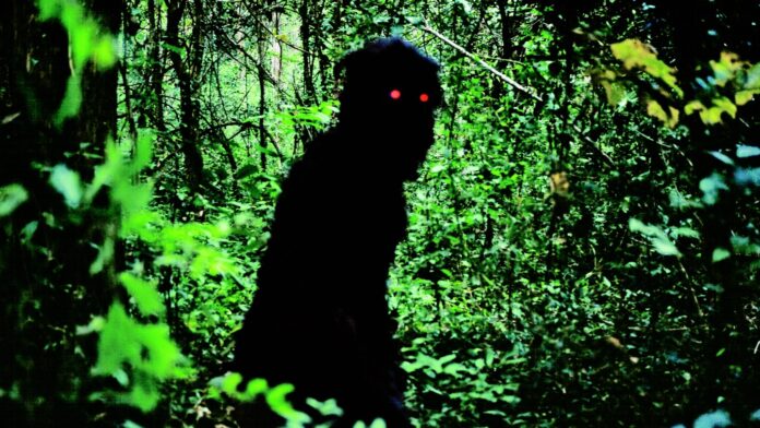 Restaurirani filmovi Apichatponga Weerasethakula na prodaji u Veneciji