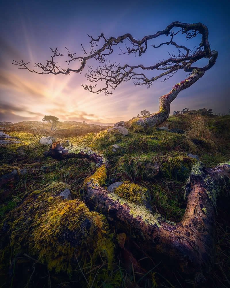 Savladavanje fotografije krajolika: Zadivljujuće fotografije koje vas uče snimati kao profesionalac - 25 Savladavanje fotografije krajolika: Zadivljujuće fotografije koje vas uče snimati kao profesionalac - 25