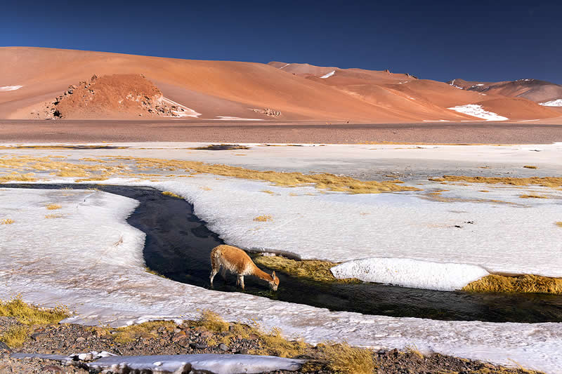 Sol i tišina: 28 nadzemaljskih pogleda na pustinju Atacama autora Karola Nienartowicza - 26
