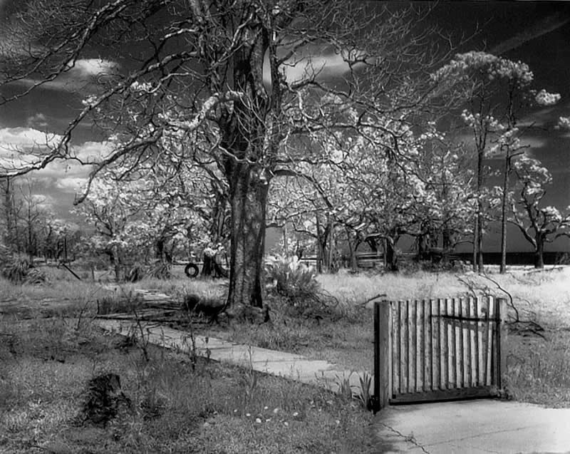 Tiha Genijalnost Johna Loengarda, Majstorskog Fotografa Časopisa LIFE - 9