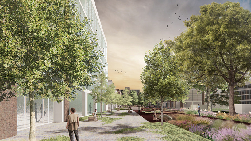 urban living library transforms fragmented city spaces into biodiverse ecological corridors - 2