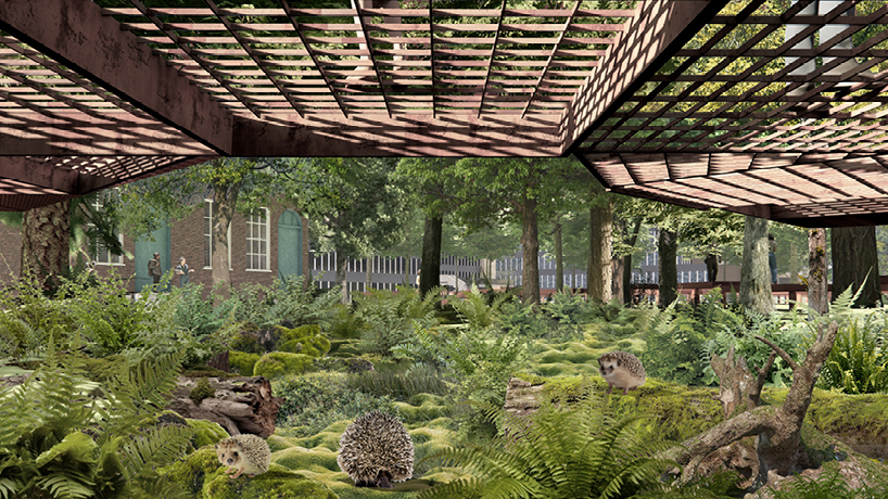 urban living library transforms fragmented city spaces into biodiverse ecological corridors - 3