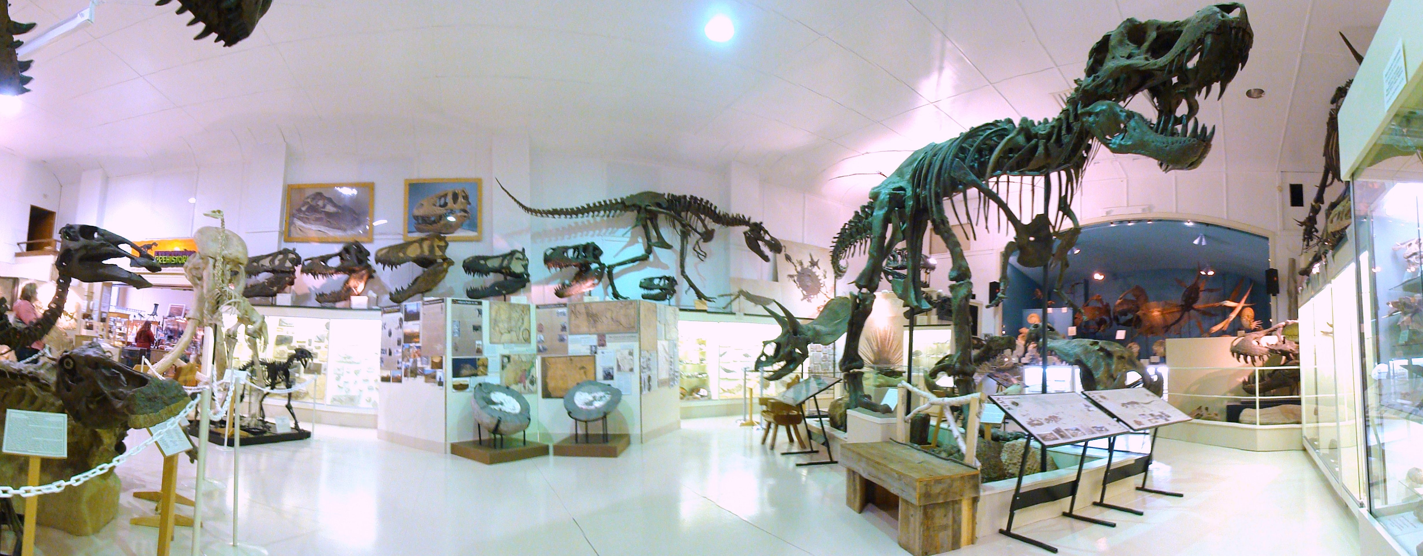 Black Hills Institute, dom dinosaura.