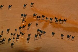 30 čudnih fotografija s perspektivom koje će sigurno zbuniti vaš mozak