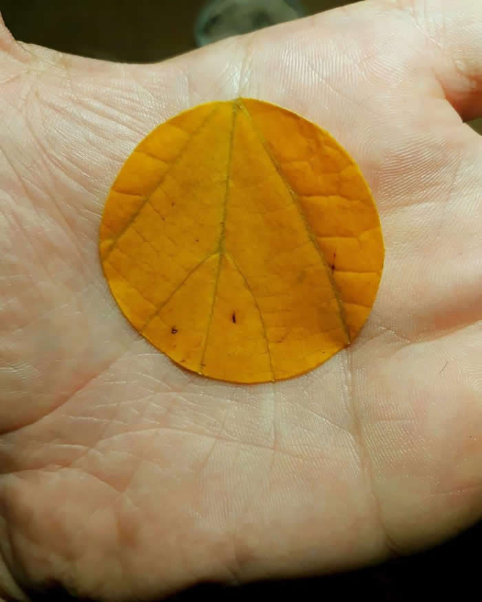33 fotografije tako savršeno poravnate, vaš mozak će uživati u svakoj sekundi - 21
