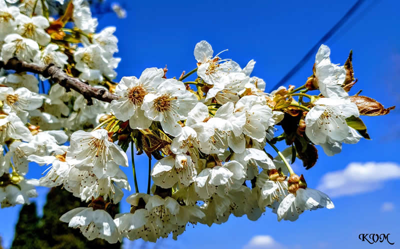 GuruShots pobjedničke fotografije iz njihovog foto izazova 'Proljetni trenuci' - 40