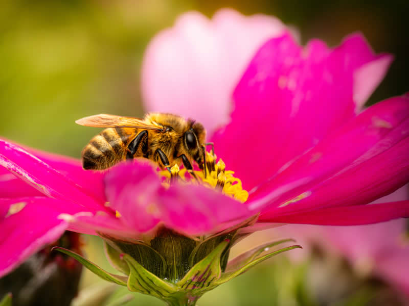 GuruShots pobjedničke fotografije iz njihovog foto izazova 'Proljetni trenuci' - 68