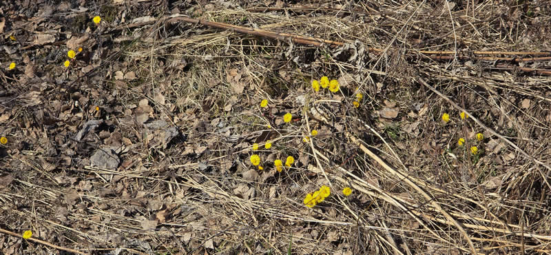 GuruShots pobjedničke fotografije iz njihovog foto izazova 'Proljetni trenuci' - 71