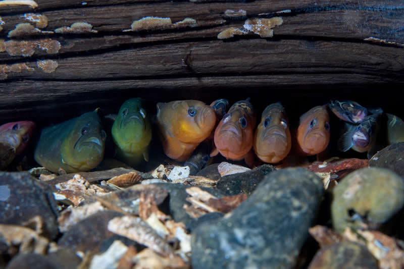 Ove nagrađivane fotografije oceana su prekrasne, uznemirujuće i nemoguće zaboraviti - 3