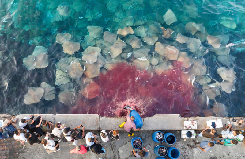 Ove nagrađivane fotografije oceana su prekrasne, uznemirujuće i nemoguće zaboraviti - 12