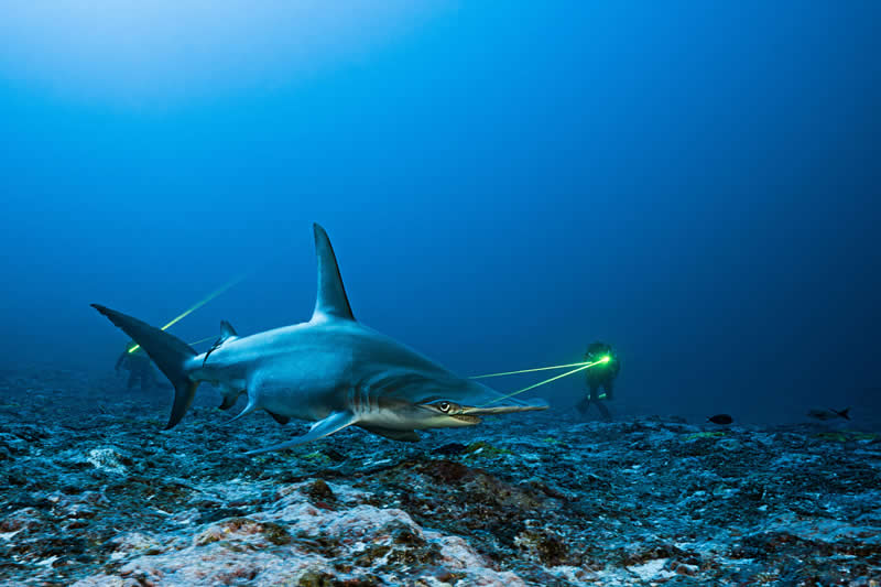 Ove nagrađivane fotografije oceana su prekrasne, uznemirujuće i nemoguće zaboraviti - 13