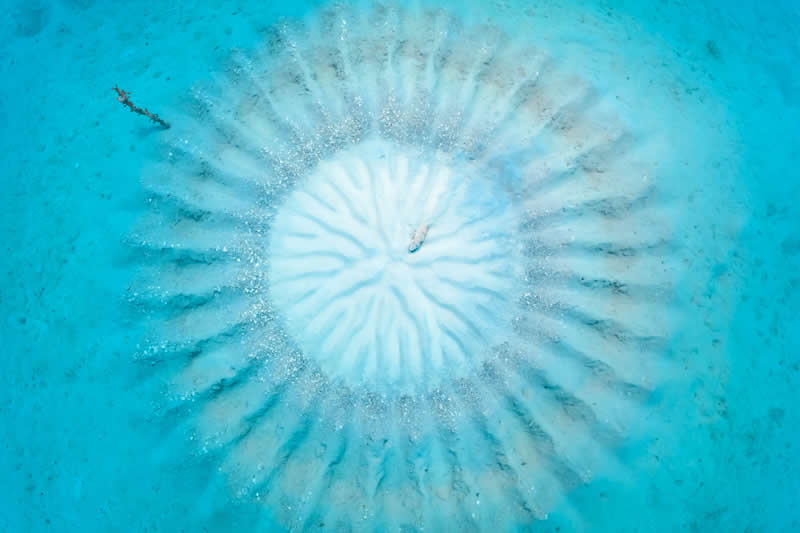 Ove nagrađivane fotografije oceana su prekrasne, uznemirujuće i nemoguće zaboraviti - 15