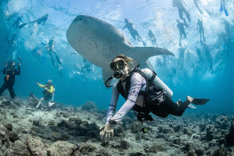 Ove nagrađivane fotografije oceana su prekrasne, uznemirujuće i nemoguće zaboraviti - 10
