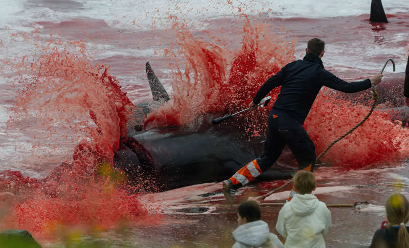 Ove nagrađivane fotografije oceana su prekrasne, uznemirujuće i nemoguće zaboraviti - 11