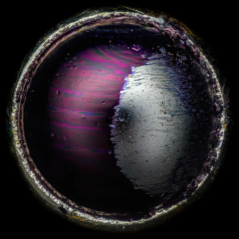 42 nagrađene fotografije s Nikonovog natjecanja u fotomikrografiji Small World otkrivaju skriveni svemir - 4