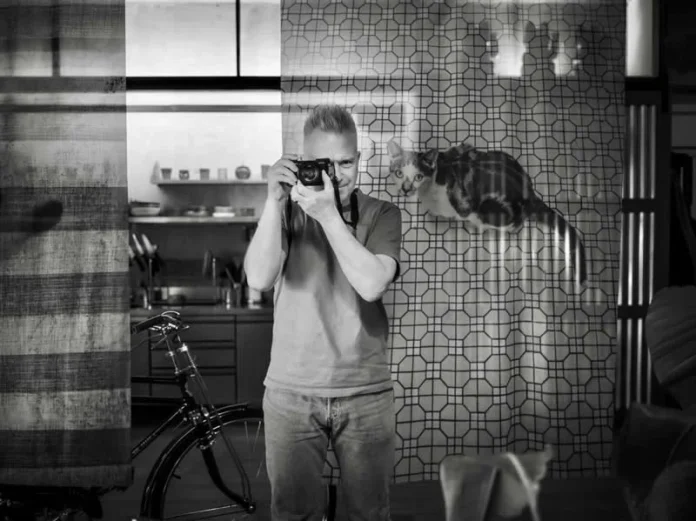 Čista radost: 35 fotografija uličnih mačaka Marcela Heignena dokazuje da je svako mjesto njihovo kraljevstvo