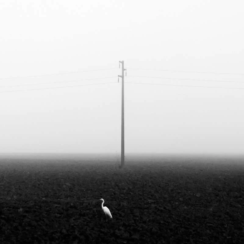 Ljepota svakodnevnog života: 37 nagrađenih fotografija s Urban Photo Awards 2026 - 29 Ljepota svakodnevnog života: 37 nagrađenih fotografija s Urban Photo Awards 2026 - 29