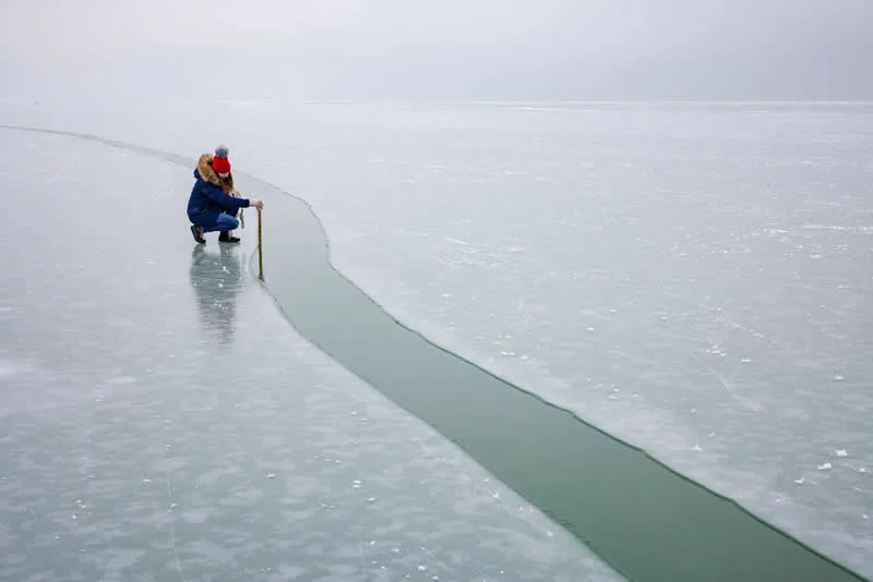Moćna fotografija polarnog medvjeda osvaja nagradu OurNature za fotografiju okoliša 2026. - 16
