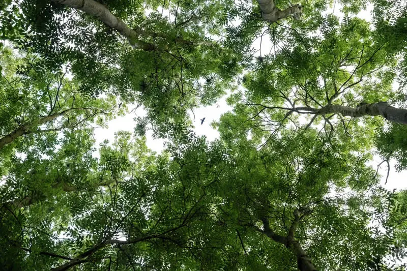 Moćna fotografija polarnog medvjeda osvaja nagradu OurNature za fotografiju okoliša 2026. - 24