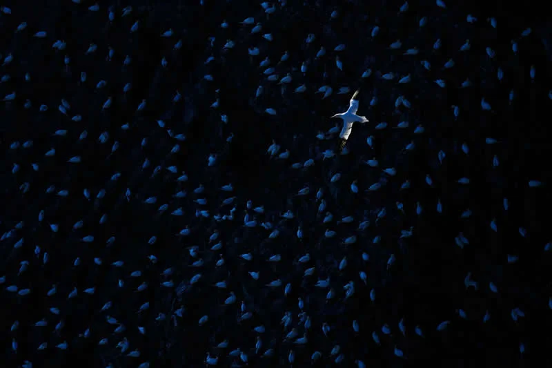 Moćna fotografija polarnog medvjeda osvaja nagradu OurNature za fotografiju okoliša 2026. - 25