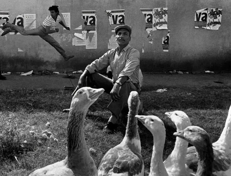 Nikos Economopoulos: Majstor fotografije koji pronalazi poeziju u svakodnevnom životu - 22 Nikos Economopoulos: Majstor fotografije koji pronalazi poeziju u svakodnevnom životu - 22